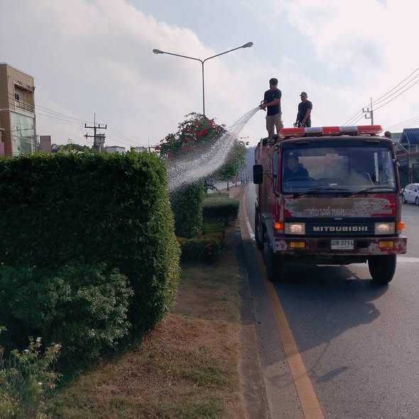 🚩🚩🚩วันที่ 16 มกราคม 2569 เวลา 10.00 น. นายทวีศักดิ์ หนูคง นายกเทศมนตรีตำบลบางสวรรค์ มอบหมายงานป้องกันและบรรเทาสาธาณภัยรดน้ำต้นไม้บริเวณเกาะกลางถนน เพื่อให้ความชุ่มชื้นกับต้นไม้